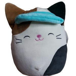 CAM with his Sun Visor 🌞 NWT